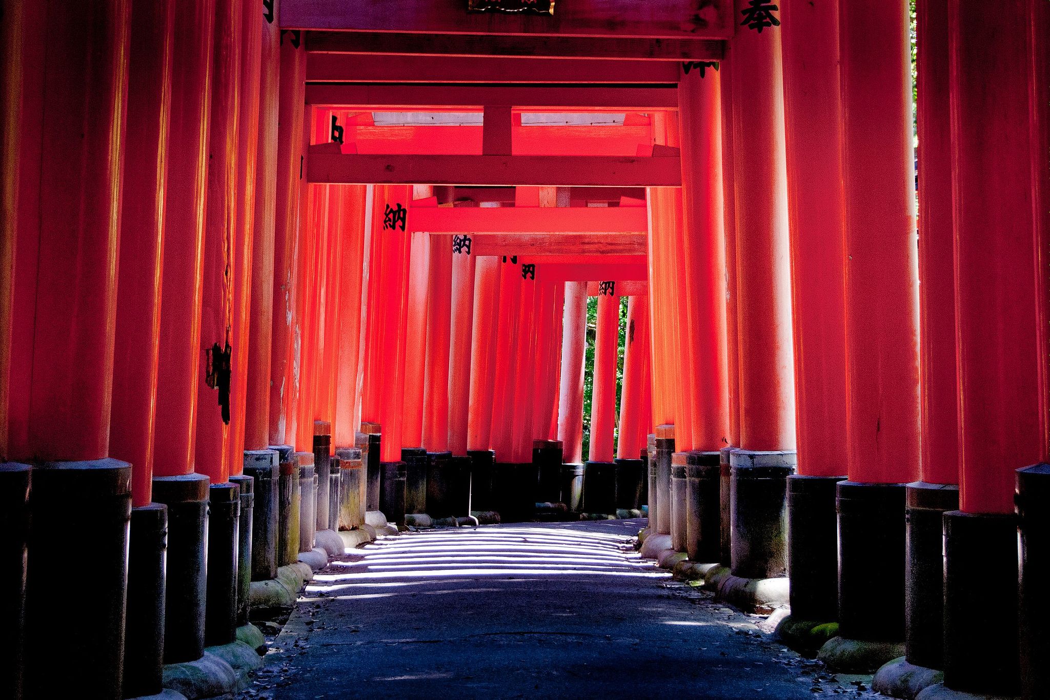 Red Gates at Fushimi Inari Shrine - Japan