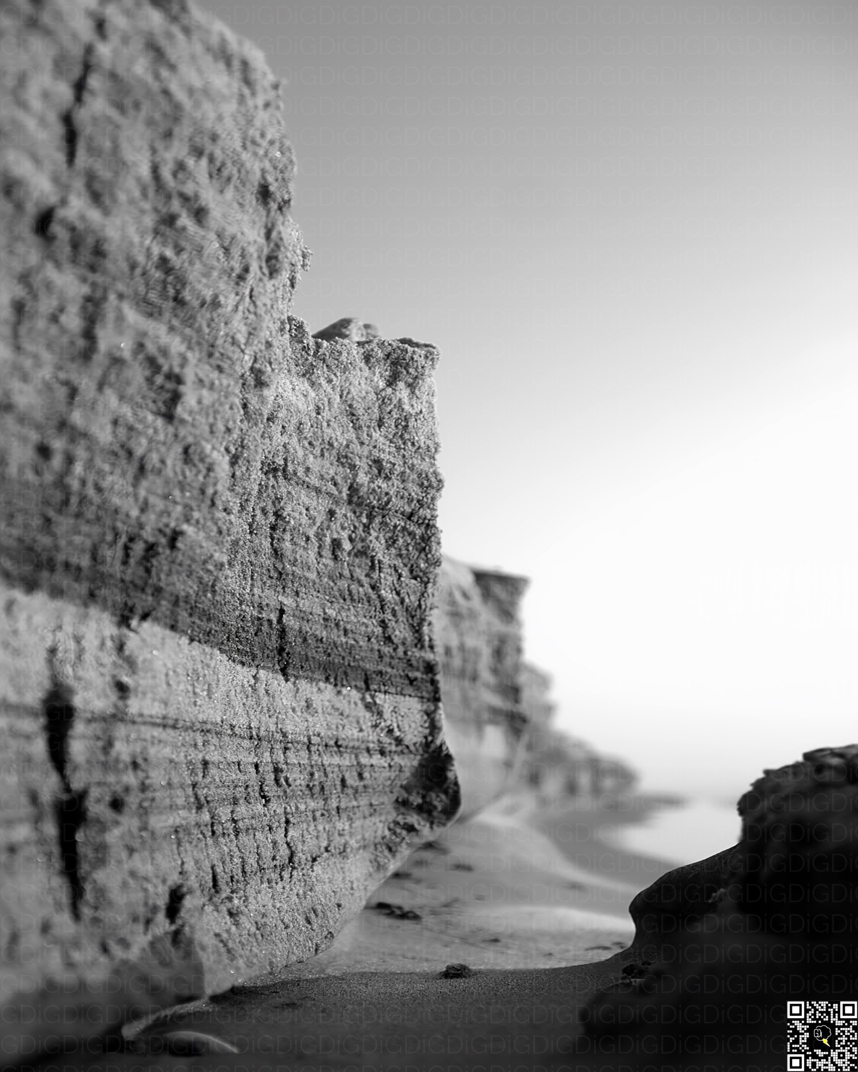 Scenic view capturing the eternal journey of nature's beauty.