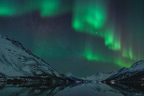 Northern Lights Dream