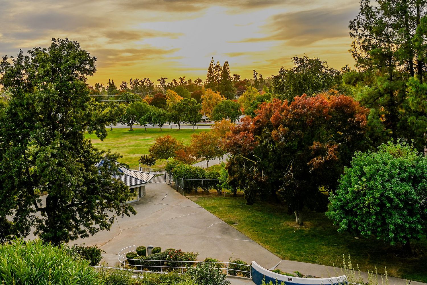 Mark Ingraham's Action & Nature Photos