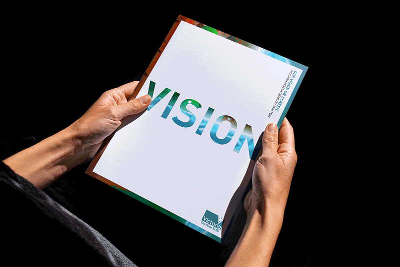 Screen Vic Vision Document