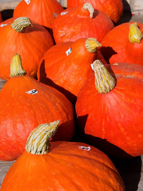 Kapelle Wilder Geschinen