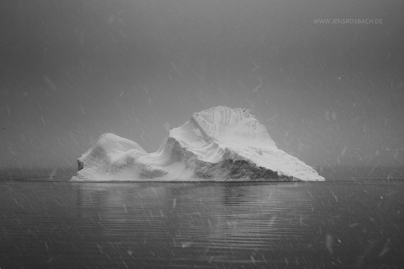 Iceberg in Snowfall, West Greenland