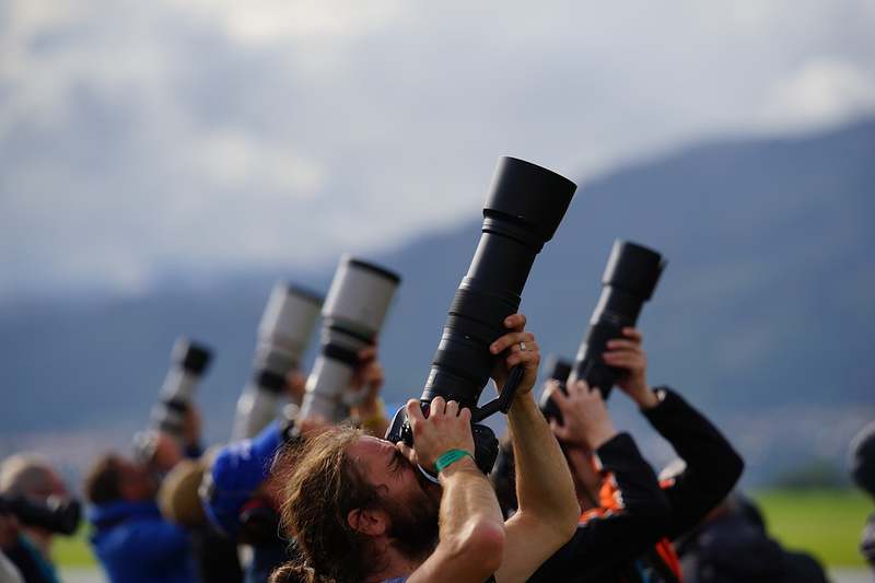 Discover the Top Camera Lenses That Capture Jaw-Dropping Wildlife Moments!