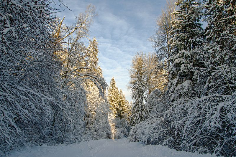 Saabuv lumesadu tõi lumelisa, tuues kaasa elektrikatkestusi.
