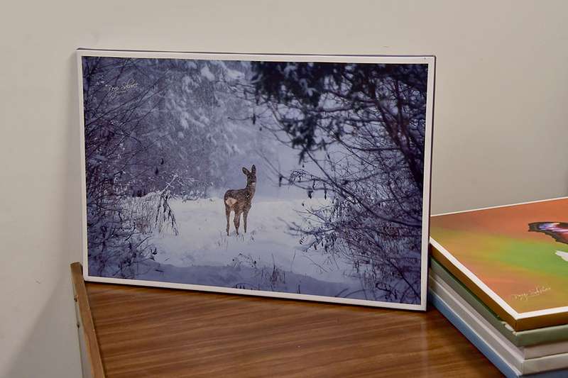 MÜÜA NÄITUSE OLNUD LÕUENDIPILTE