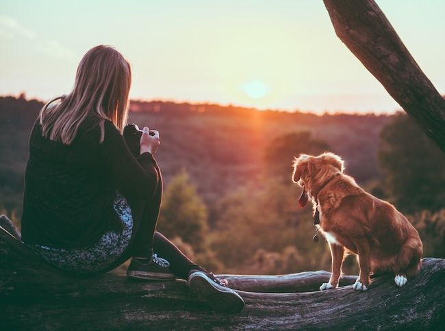 Vacatures voor dierenfotografie