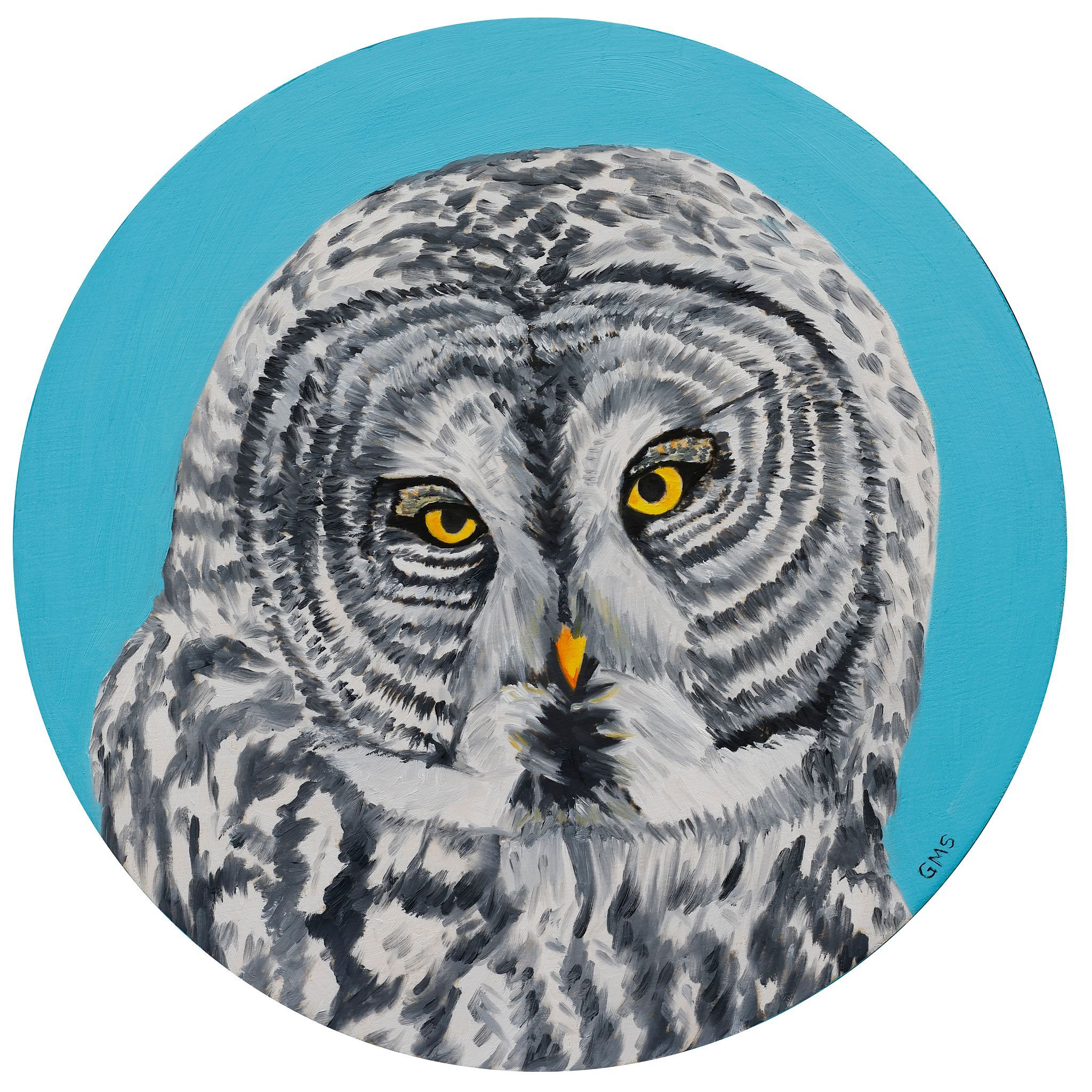 Round Owl