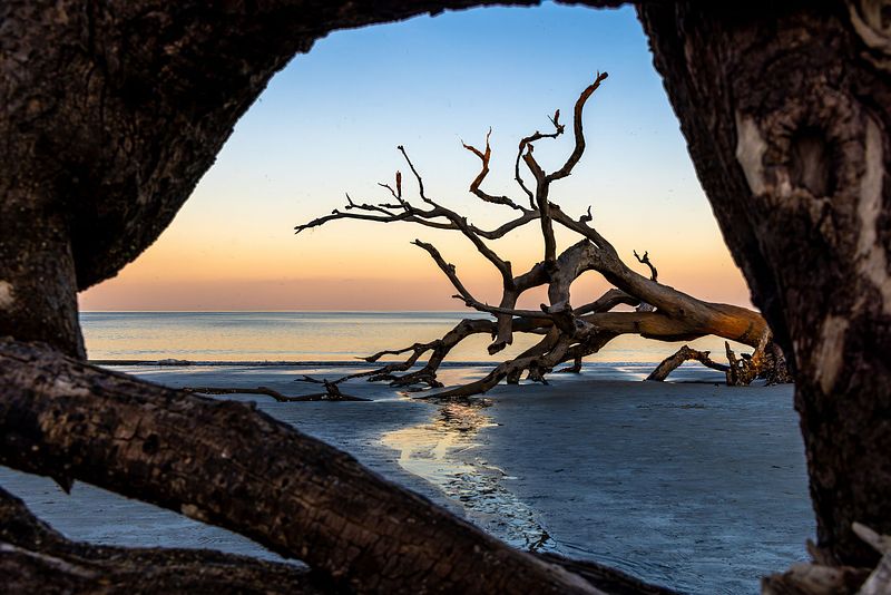 NATURE & TRAVEL