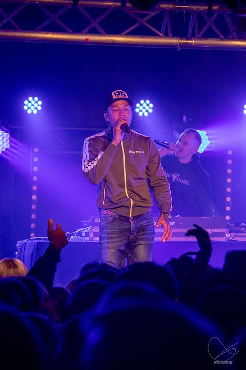 Palmekystfestivalen 2022