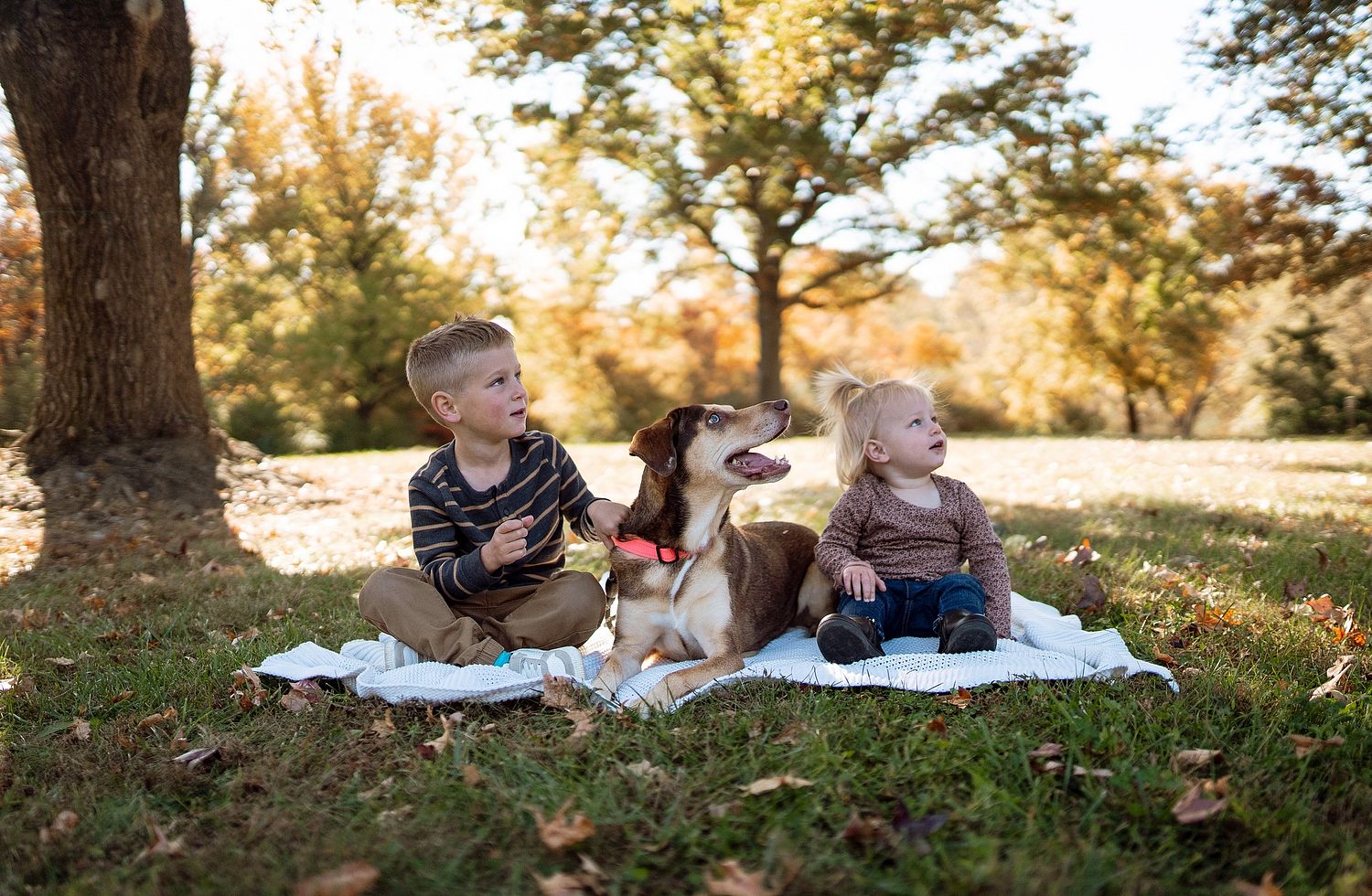 Samantha Bruton Photography