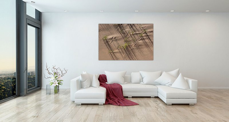 Dialoog van Schaduw en Groen