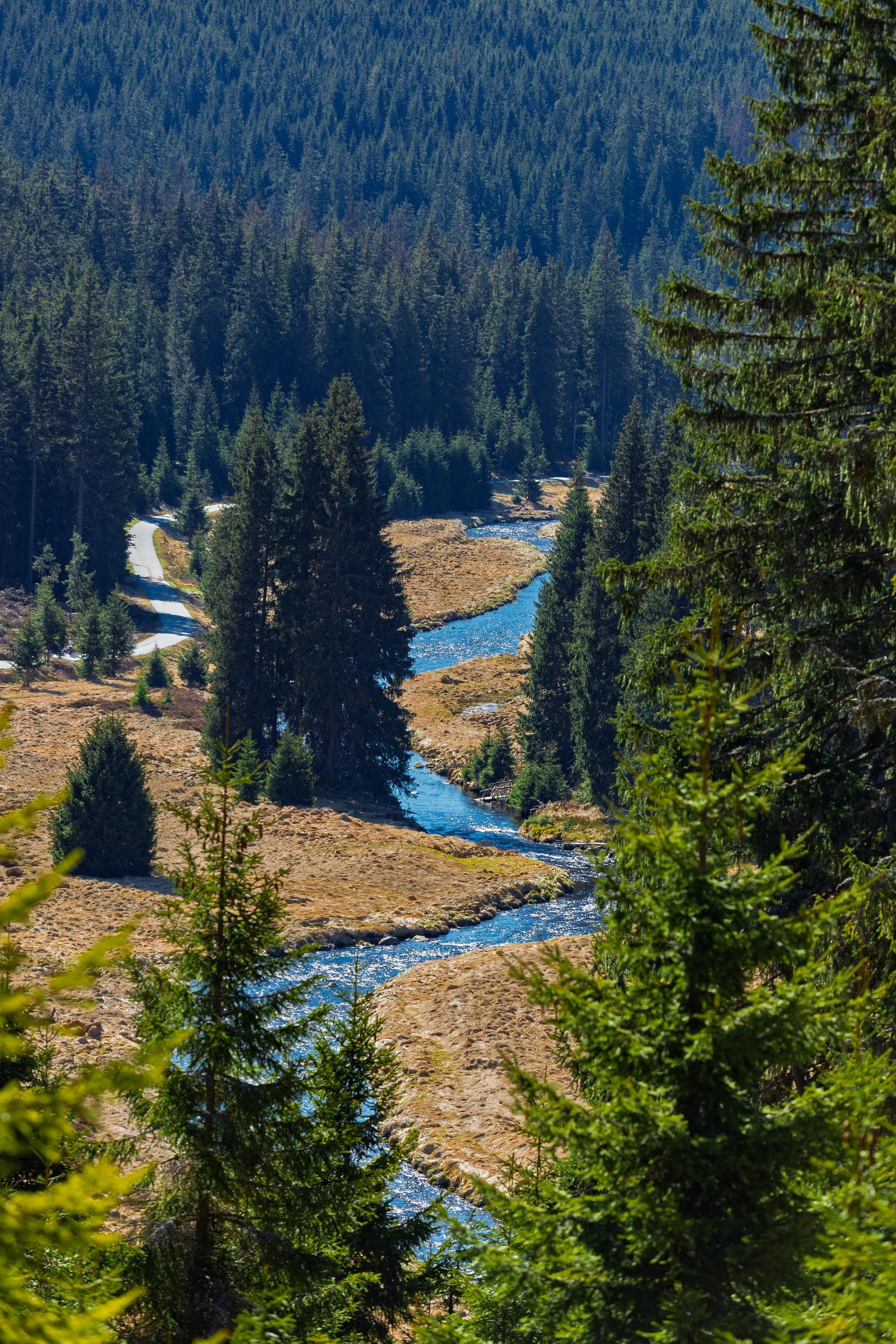 Sumava