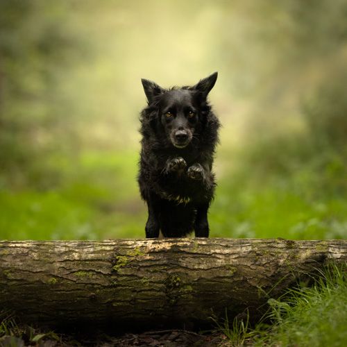 Wat zit er in een pakket?