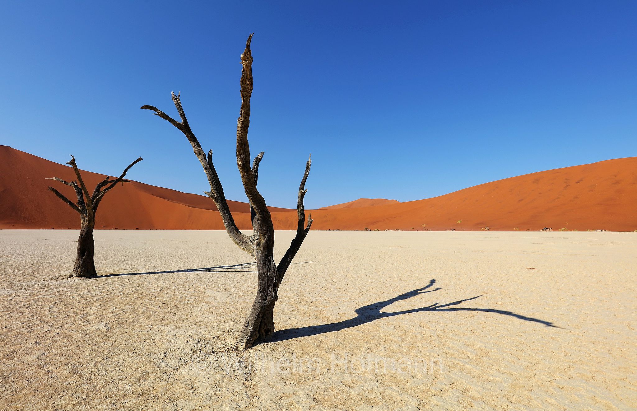 Deadvlei, DeadVlei, Dead Vlei, Dooie Vlei, Sossusvlei, Namib-Naukluft National Park, Namib-Naukluft-Park, parco nazionale di Namib-Naukluft, Namibia