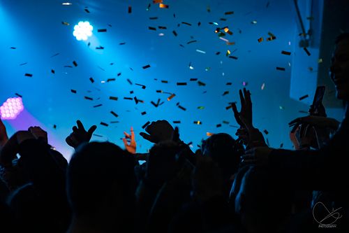 Palmekystfestivalen 2022