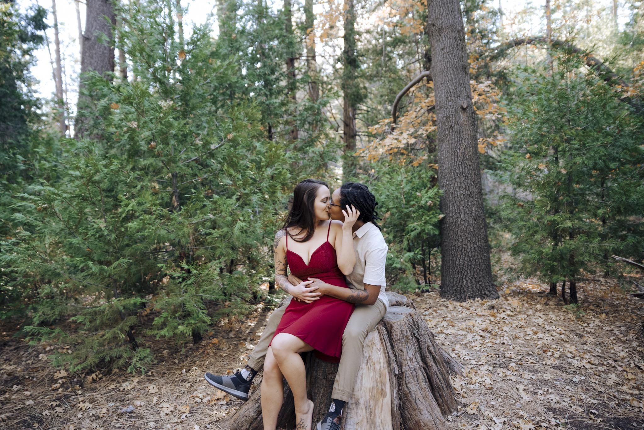 Brandi Fox Photography