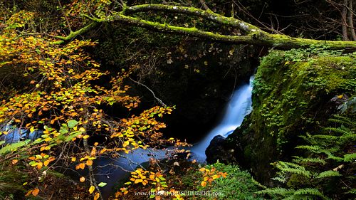 Autumn at the Ysperklamm