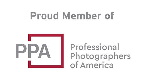 Professionally Insured