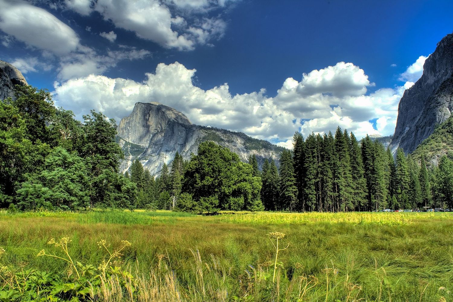 Snehansu Roy Photography