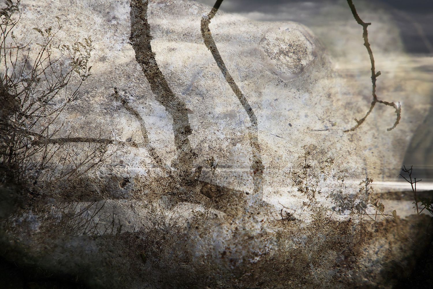 David Foster Art Artist Photography Photographer Reading