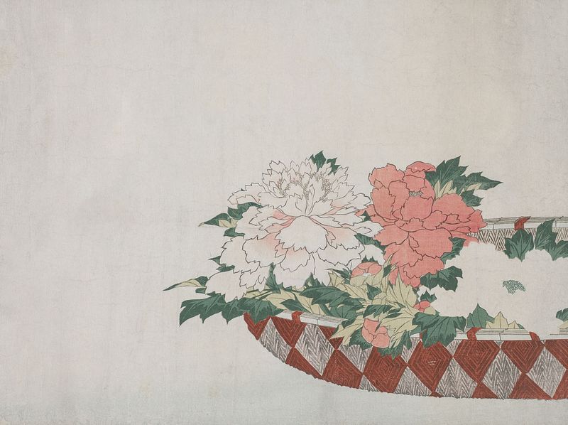 Meridian Massage in Brussels – Restore Energy Flow with Traditional Chinese Medicine