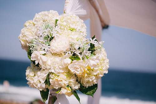 Wedding Ceremony at Narrabeen SLSC