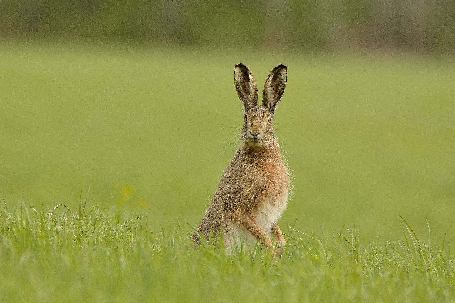 K&uuml;lasta erinevaid galeriisi