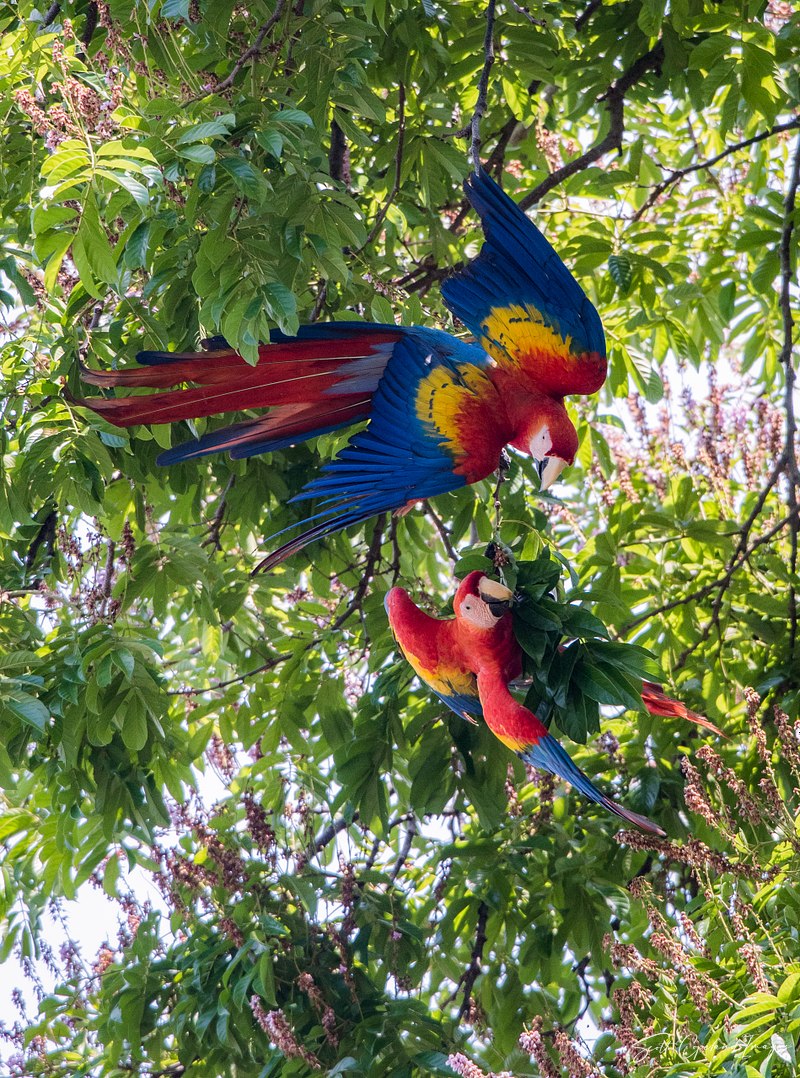 Costa Rica