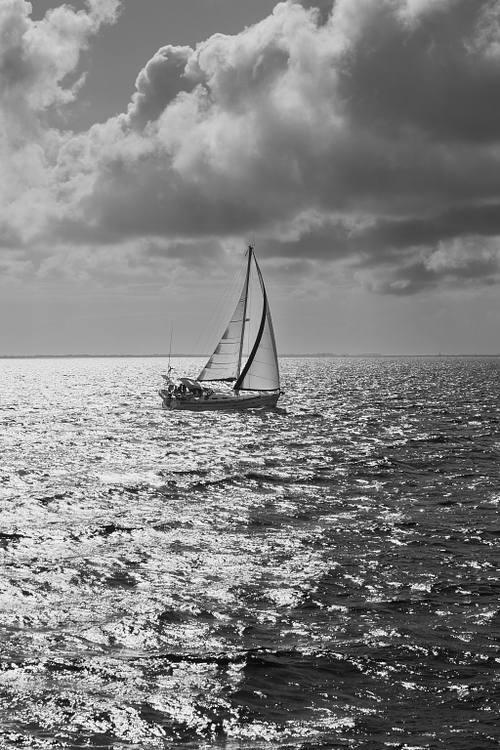 Ocean and Horizon