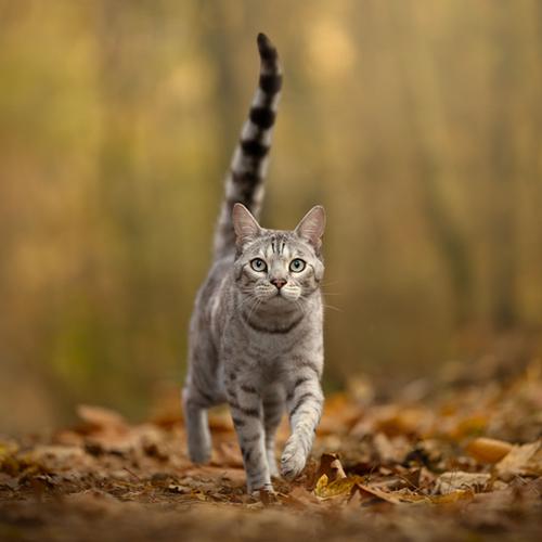 Geen standaard foto&rsquo;s, maar echte herinneringen