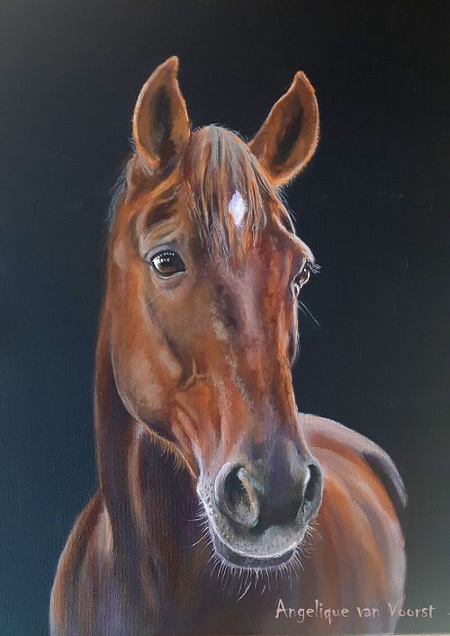 Paws, Hooves & Color