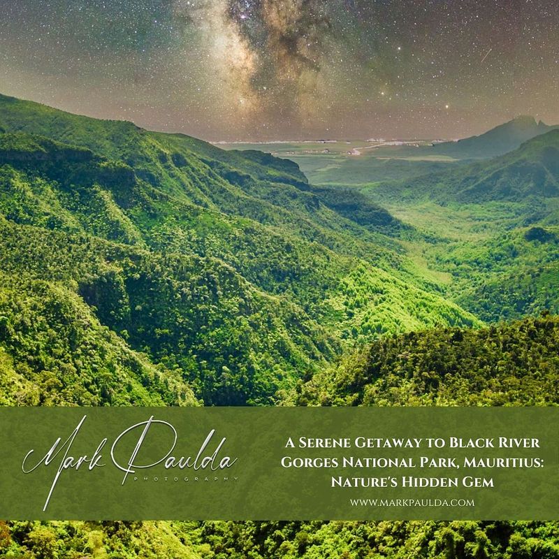 A Serene Getaway to Black River Gorges National Park, Mauritius: Nature's Hidden Gem