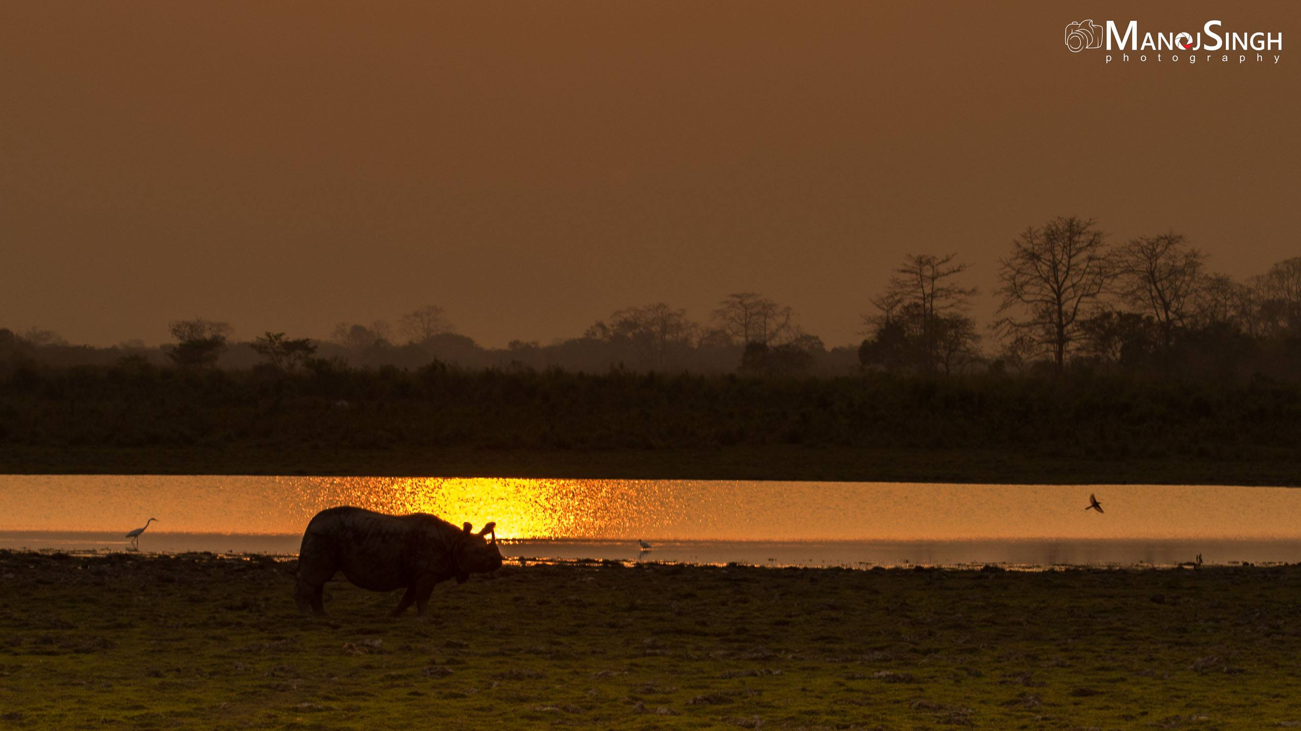 Kaziranga
