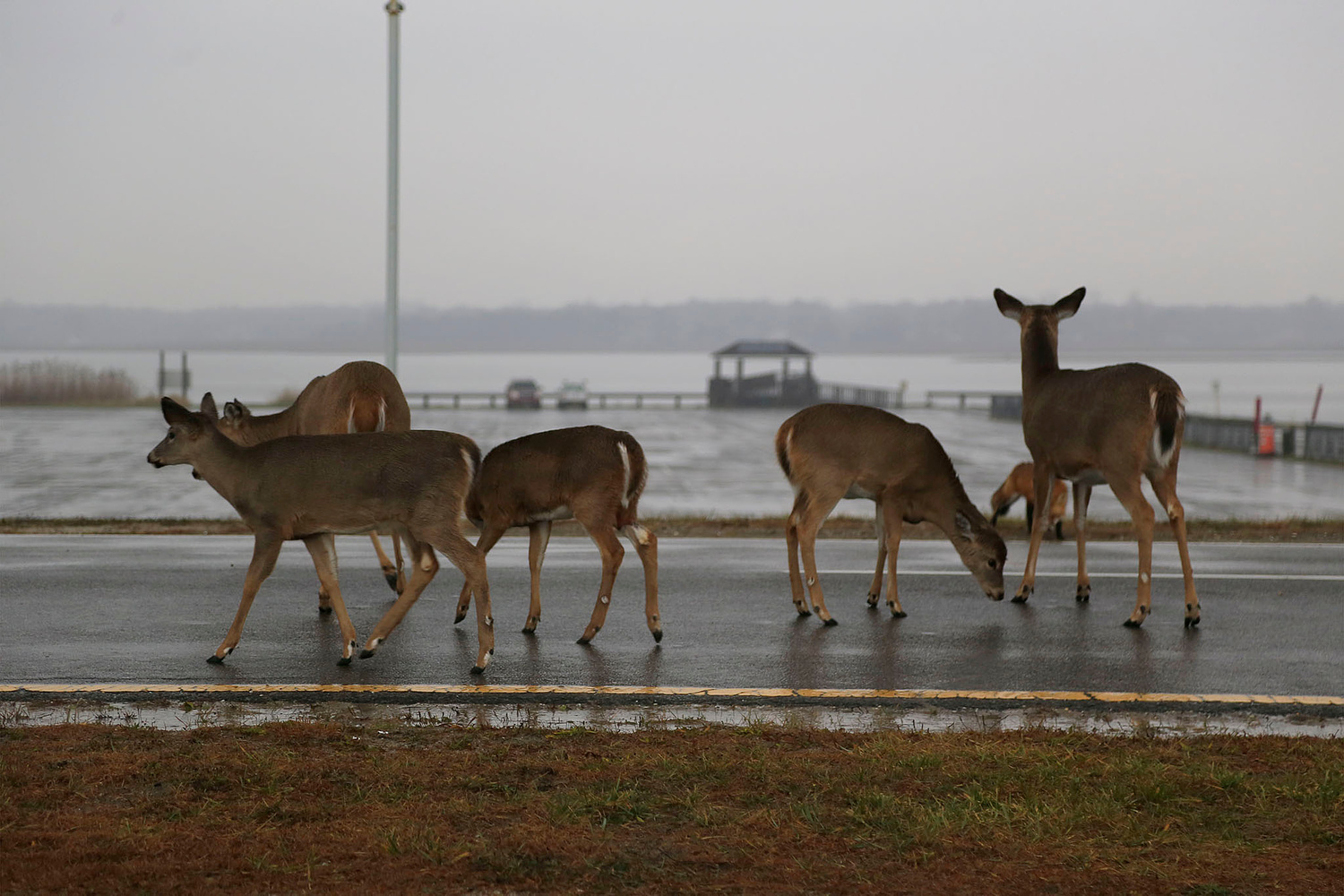 ALISON PERRY PHOTOGRAPHY