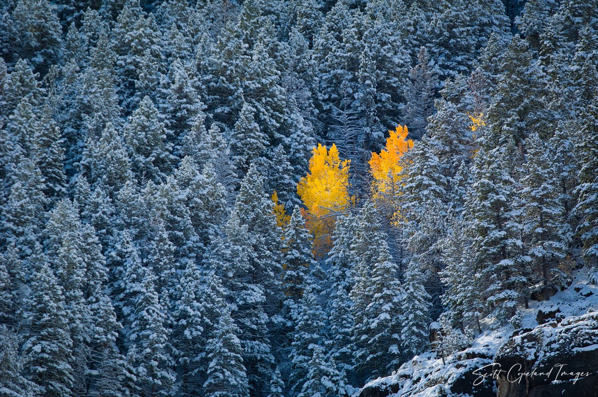 Hidden Fall