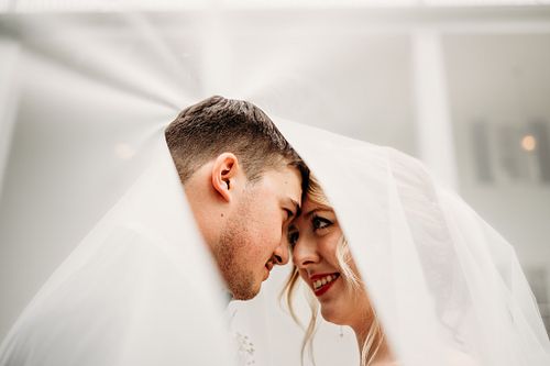 Below are a handful of random images&mdash;check the Portfolio tab for example galleries and more sessions.