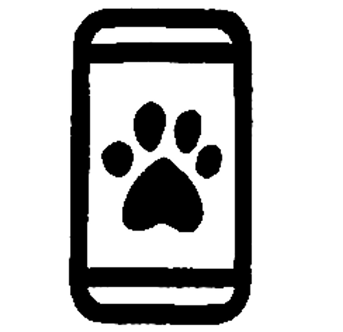 Stage 6. Stay Updates