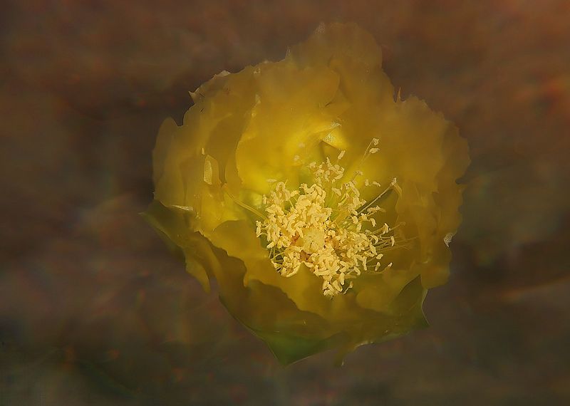 What Nature Teaches Us About Balance