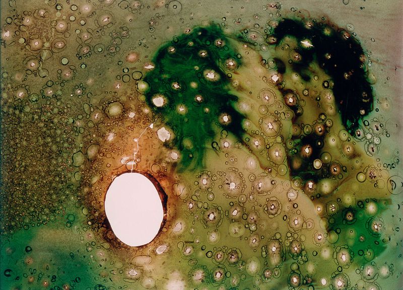 Self-Portrait Story: Healing Waters