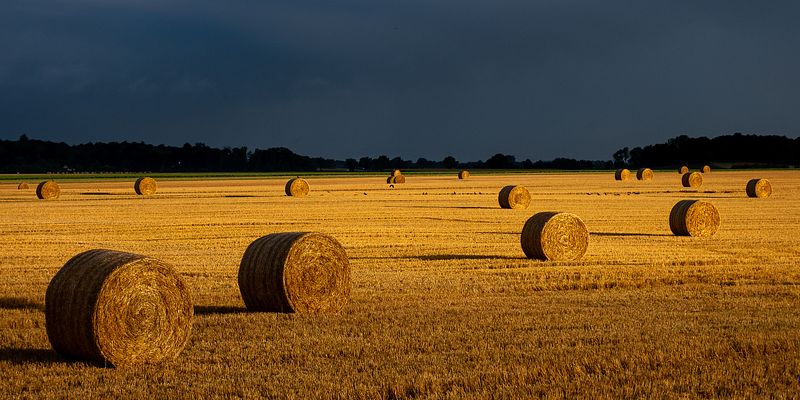 RURAL
