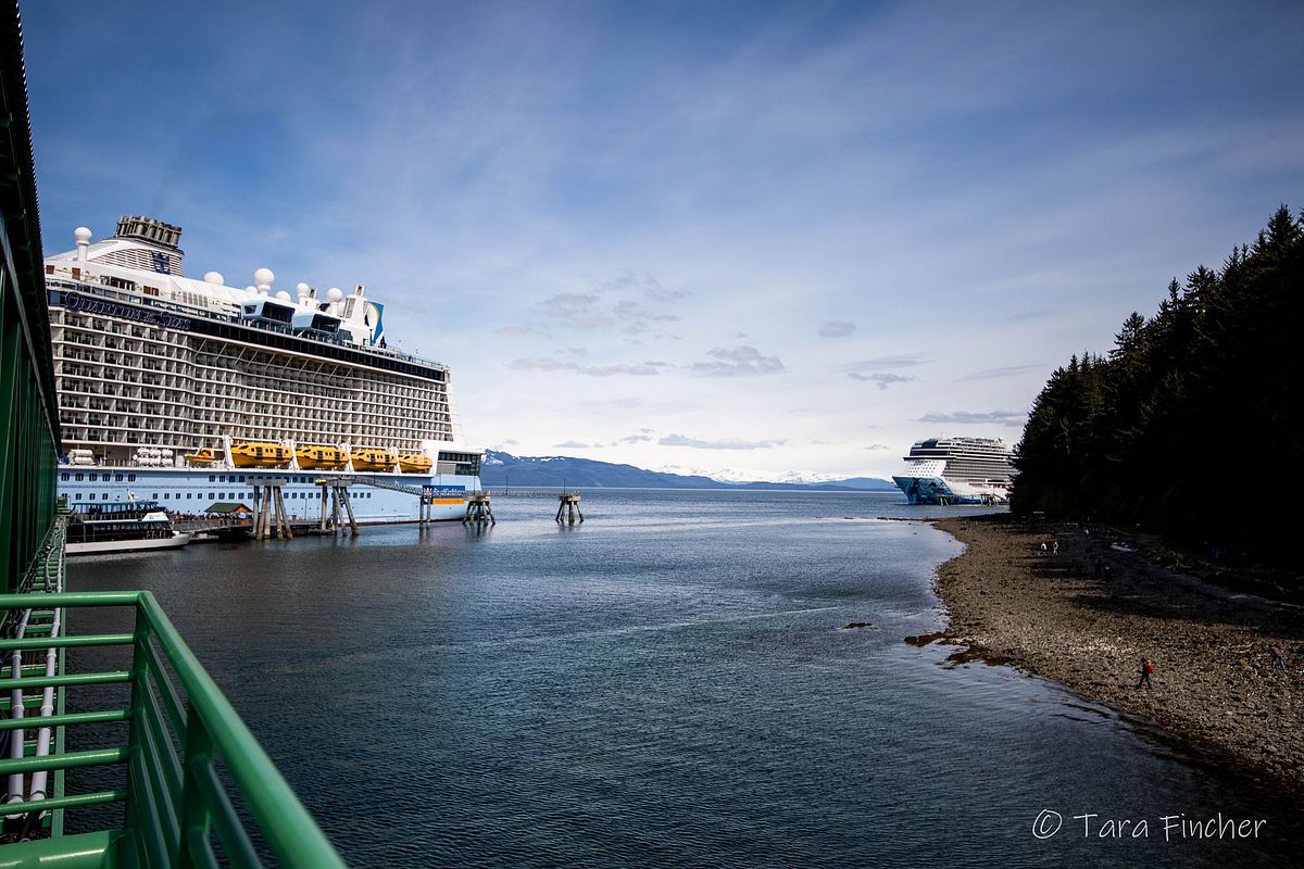 Tara Fincher - Montana Lifestyle & Wedding Photographer