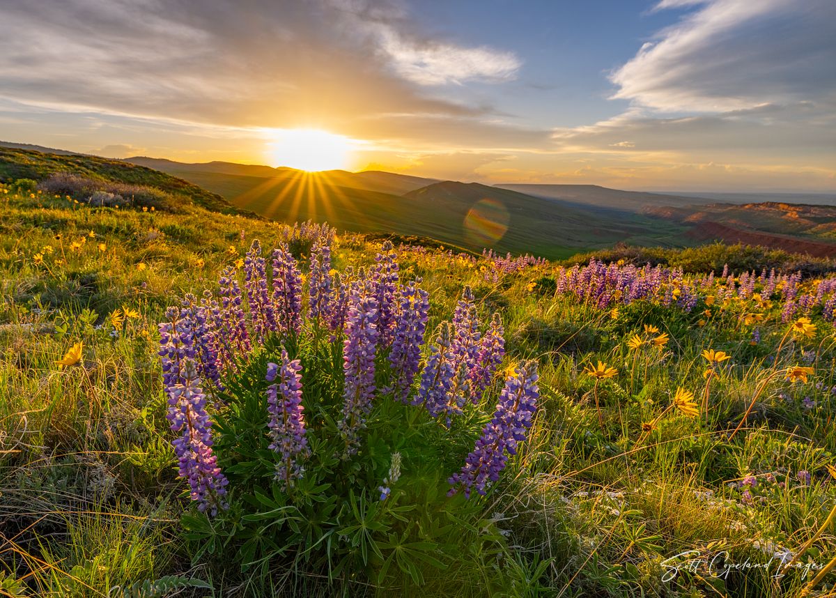 Red Canyon Floral Arrangement