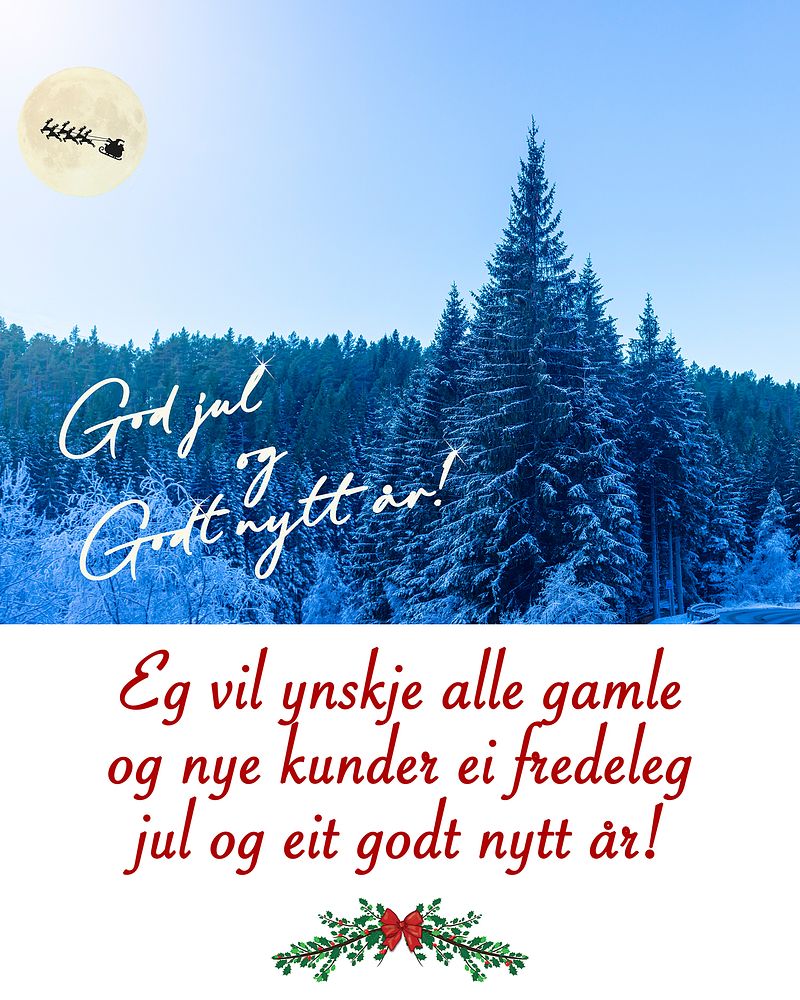Ha ei riktig god jul og eit godt nytt år!