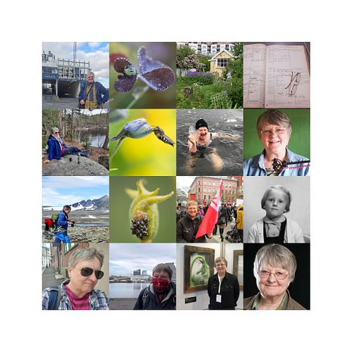 Om Nettapp media <br>- og om Anne C. Eriksen