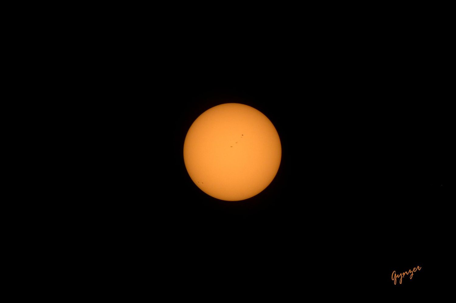 Gynzer's Photography