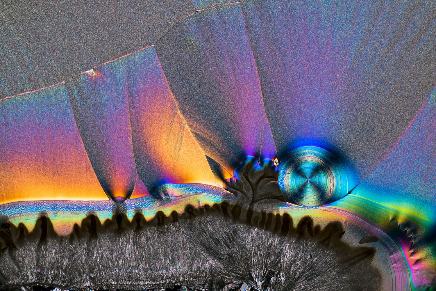 Rashed Alsumaiti's offical website