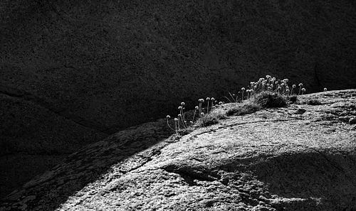 Rocky coast in Verdens Ende