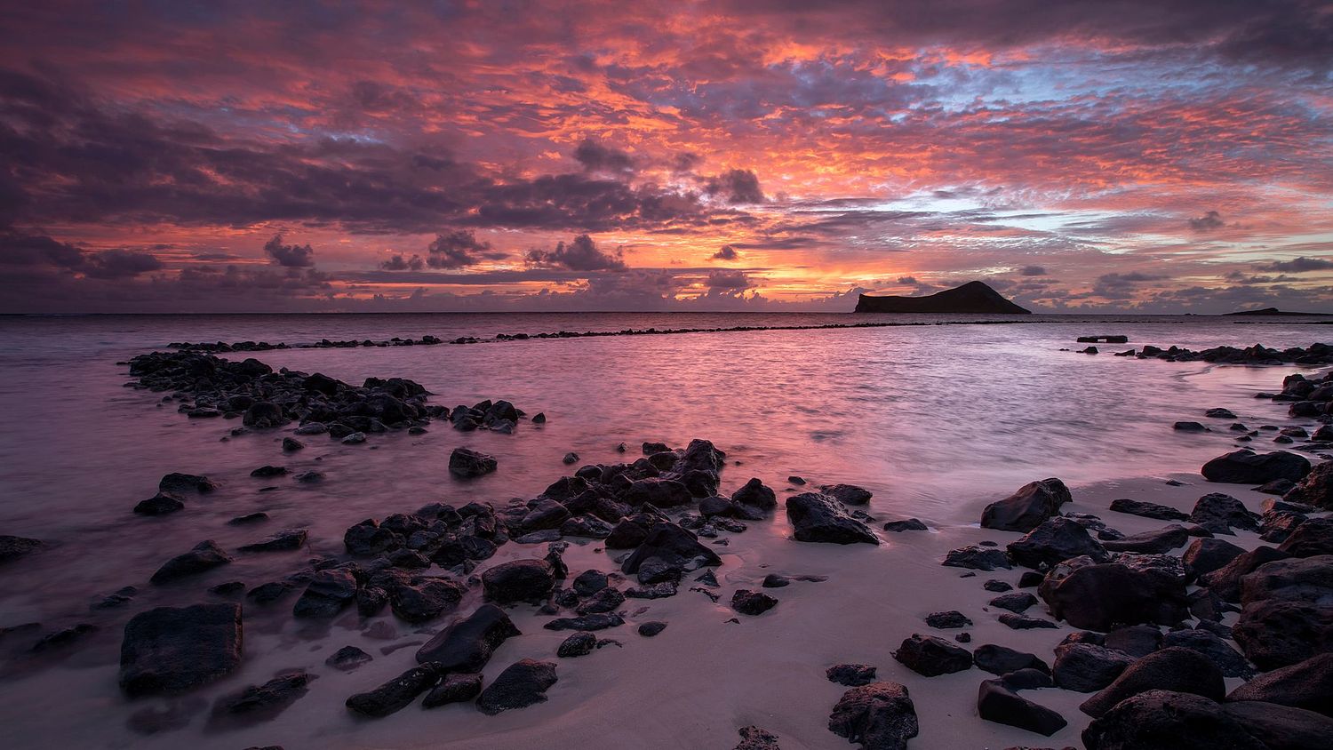 MIke Wiley Photography