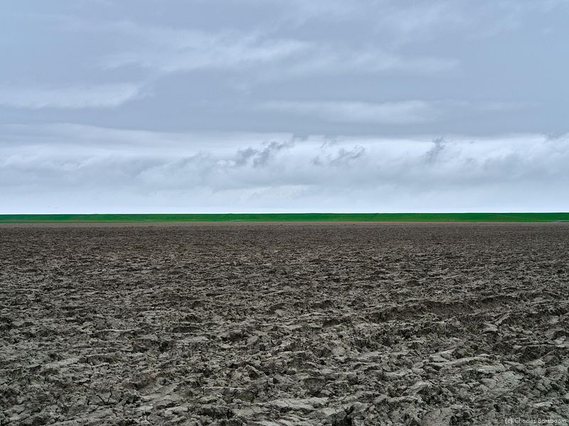 The Next Step (20 - 22 november 2026)